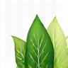 Logo Jardinier Vert SARL